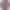 Apple Watch Series 10 GPS 46mm Rose Gold Aluminum Case w. Plum Sport Loop (MWWV3)