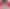 Наушники HyperX Cloud Earbuds II Red (705L8AA) - фото 7