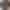 Смарт-годинник Amazfit T-Rex Ultra 2 Black (W2550GL2N) (UA) - фото 4 Смарт-годинник Amazfit T-Rex Ultra 2 Black (W2550GL2N) (UA) - фото 4