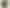 Смарт-годинник Apple Watch Series 12 GPS + Cellular 42mm Dark Bronze Aluminum Case with Olive Sport Band S/M (MJG44)