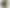 Смарт-годинник Apple Watch Series 12 GPS 42mm Dark Bronze Aluminum Case with Olive Sport Band S/M (MJEF4)